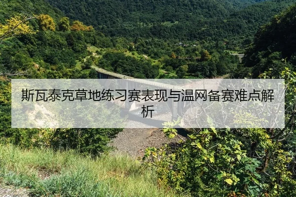 si-wa-tai-ke-cao-di-lian-xi-sai-biao-xian-yu-wen-wang-bei-sai-nan-dian-jie-xi-2-759.jpg