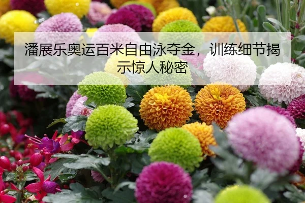 潘展乐奥运百米自由泳夺金，训练细节揭示惊人秘密